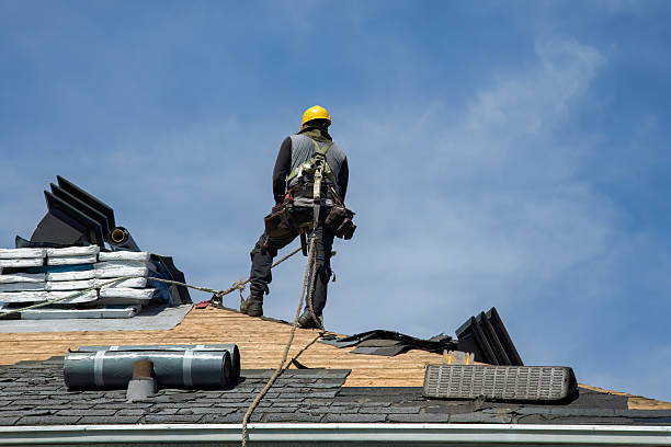 Professional Gutter Installation technician working in Firth, NE
